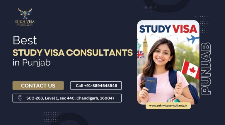 Best Study Visa Consultants in Punjab
