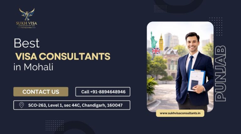Best Visa Consultants in Mohali